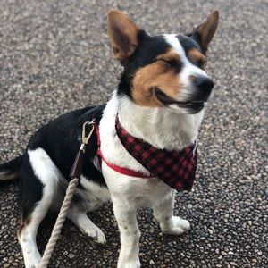 Meet your Posher, Lizbeth